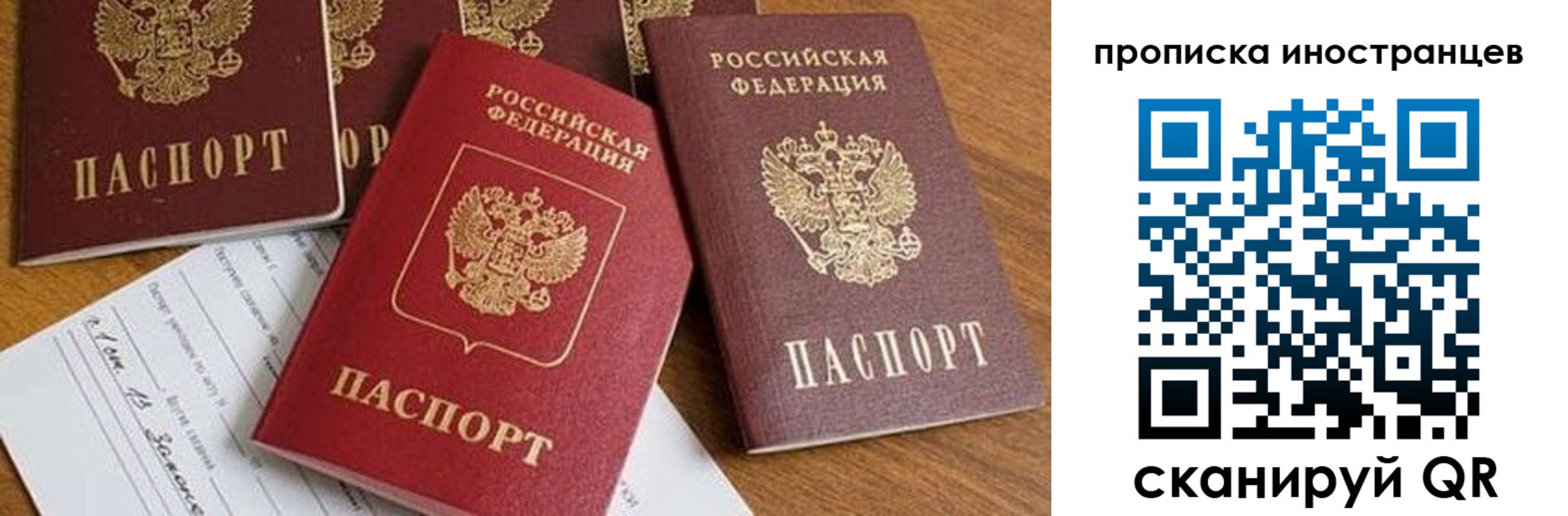прописка в Высоковске