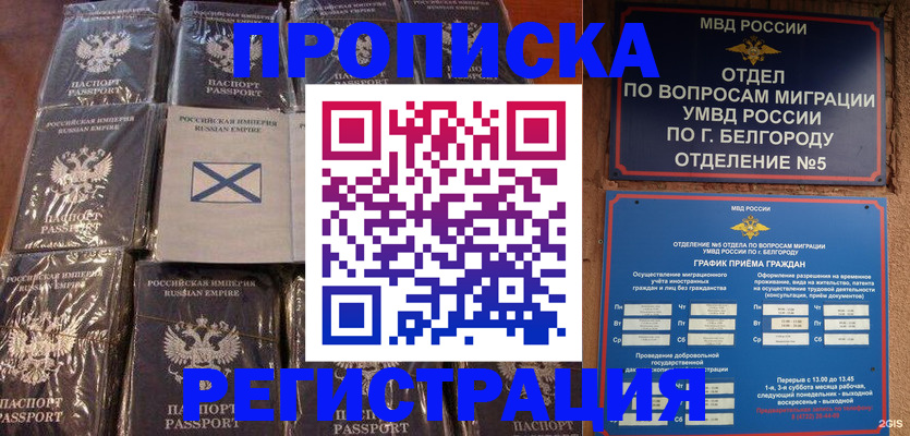 прописка гарантия в Высоковске